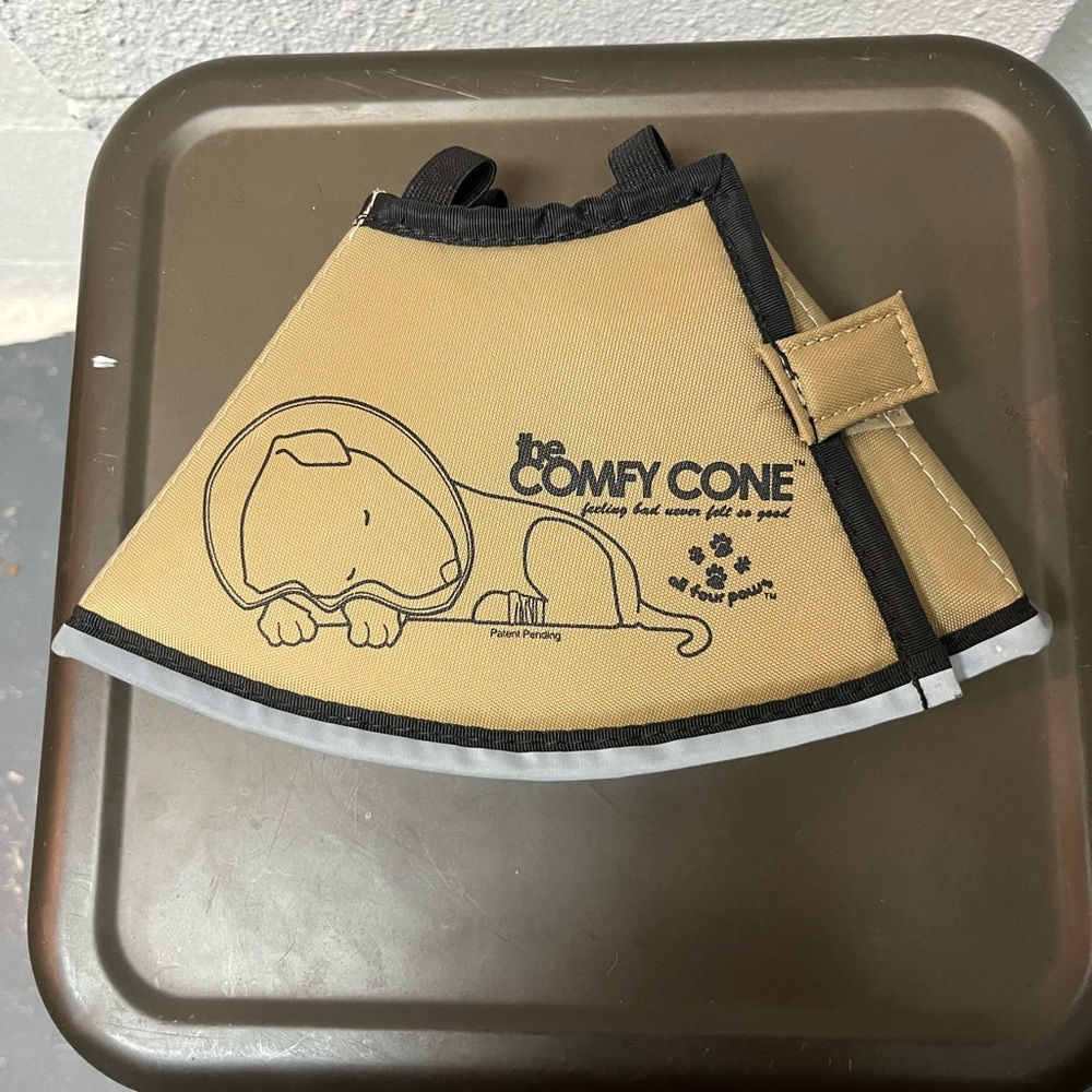 Tan Dog Collar